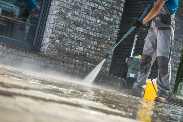 Best Roof Washing  in Darlington, WI